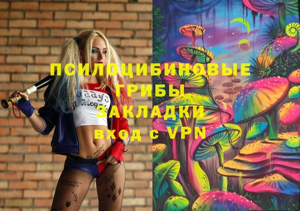 спайс Алексеевка