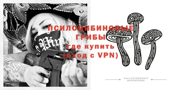 эйфоретик Алексин