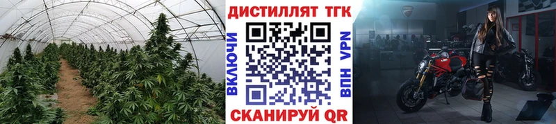 ТГК вейп  закладка  Далматово 